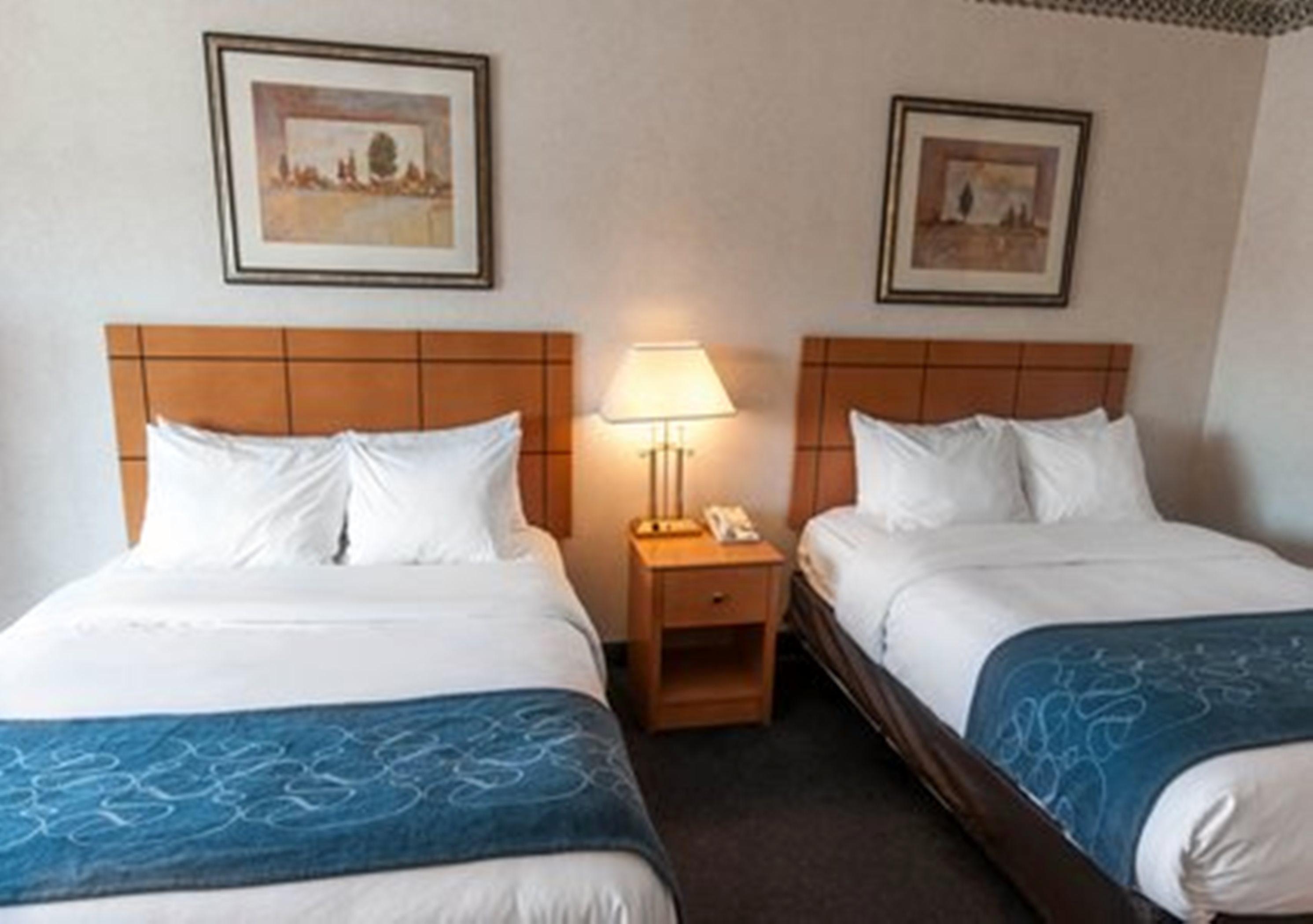 Comfort Suites University Las Cruces Zimmer foto